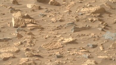 MARS1 1024x762