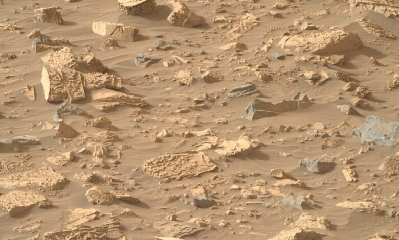 MARS1 1024x762