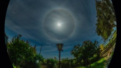 MoonHalo pace 778x1024