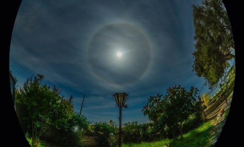 MoonHalo pace 778x1024