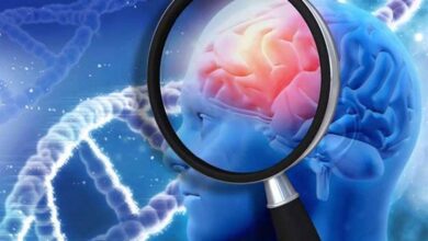 d8434bbee1ca3e75cbeffb2308b580ca23d622546ad220a56b83552106196d50d7dbfd4ce65cf21b35a74bd0a25e1766