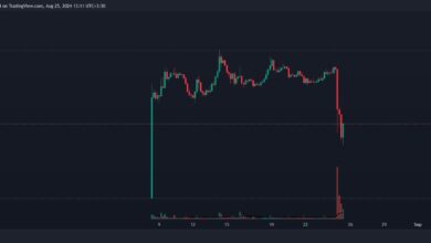 ton usdt drops 66cafc53a2398306cee0c8f3