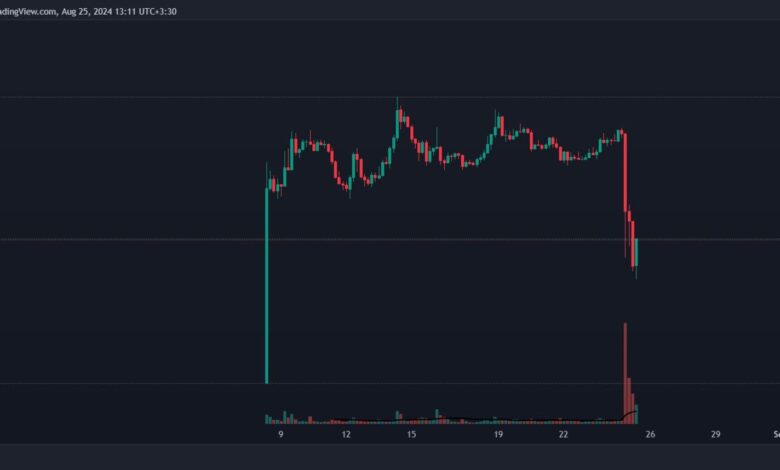 ton usdt drops 66cafc53a2398306cee0c8f3