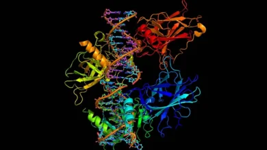 2020 12 3d shapes of protein 638bb2aac669e381fe496737