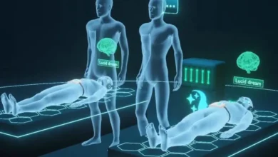 dreamers 67120b28be1c94a528868b47