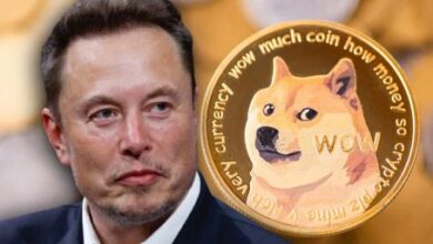 elon musk dogecoin