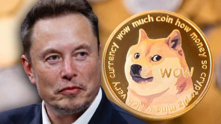 elon musk dogecoin