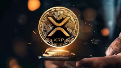 riple coin 674b140a0000111a7711c2e7 1