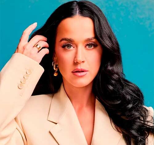 katy perry biography blog