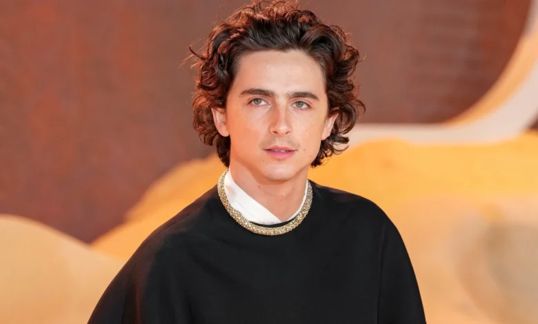 Film Timothee Chalamet 94223 scaled 1