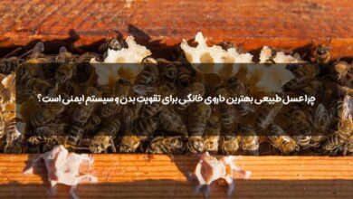 عسل یک داروی خانگی