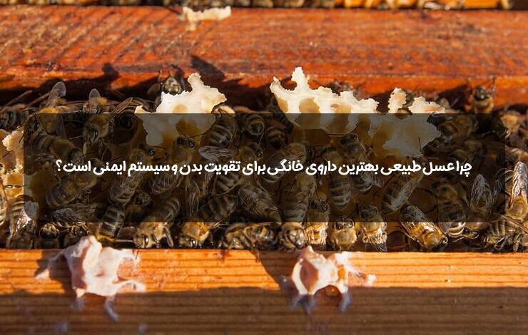عسل یک داروی خانگی