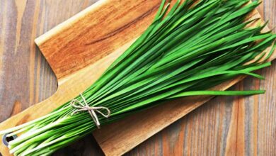 Properties of leeks