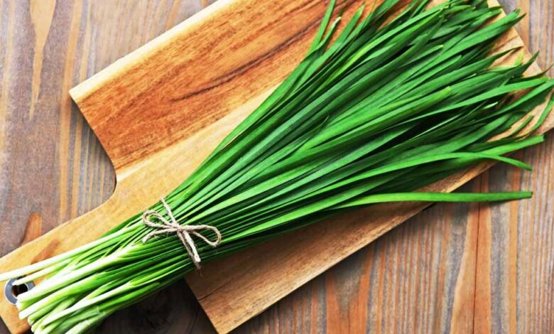 Properties of leeks