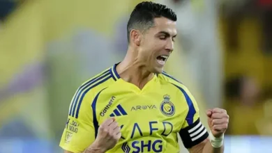 13032fc9 c40f 4a17 8852 b66938a745ed