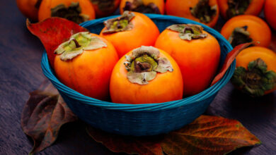 39e58da8 e28b 4eb2 8e94 69f9d9a58893