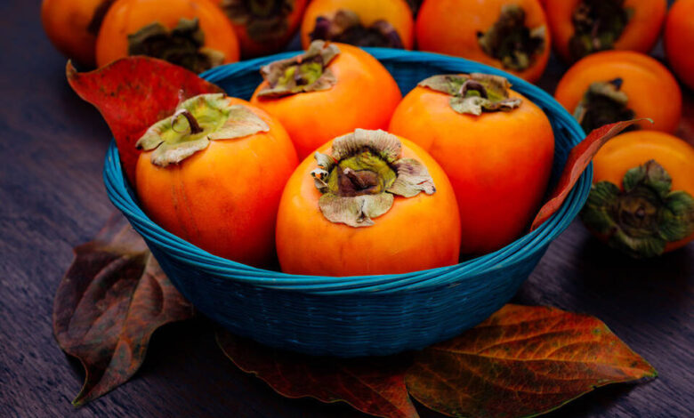 39e58da8 e28b 4eb2 8e94 69f9d9a58893