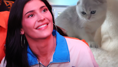 8538c503b6e6d4ec0b6a6b301c1010dc