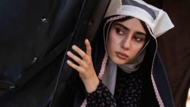 c5efaa3c f303 4a5f 9a6b e22f59a2b961