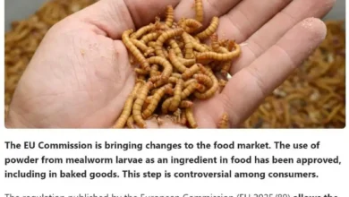 rAJyyDGtSElSnlEYzg2FRZmd4UsOE8oq0jZlGvCj