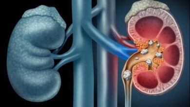 36736680 61a6 4f92 8ab4 c8aaba29c43b