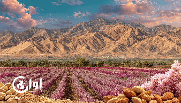 تصویری از مزارع کشاورزی در کرمان، بم، قائنات و حاجی‌آباد با پس‌زمینه‌ای از محصولات کشاورزی. اوان تجارت