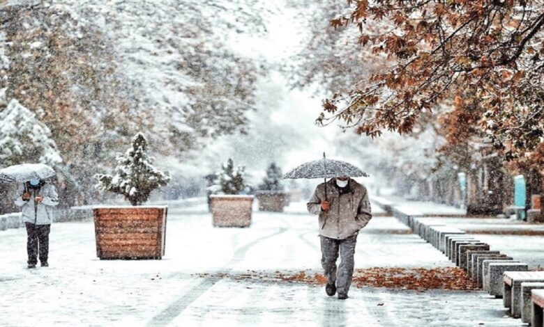 bd40bea8 1fa1 4405 bb7d 617d876d69ae