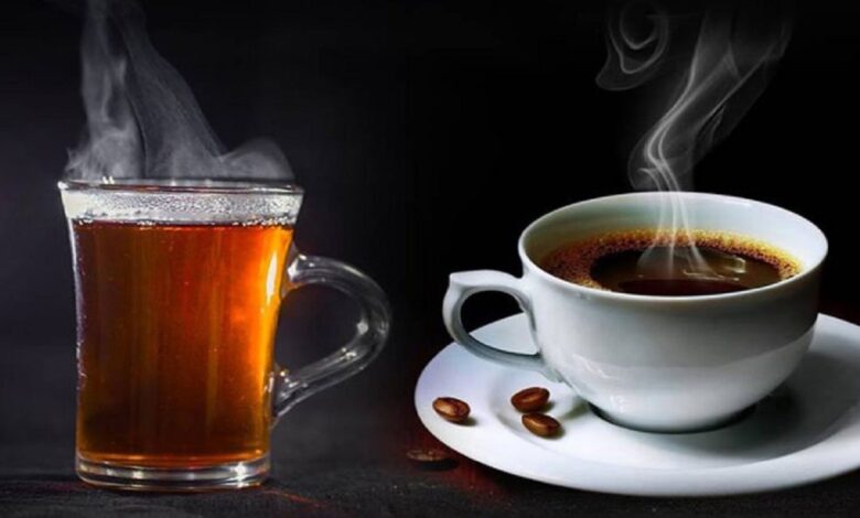 1d8a02a7 fe02 4406 9438 a7f4c9d1a060