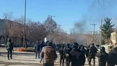 41ffc3e0 e731 11f0 b497 893ee467f2f6.jpg