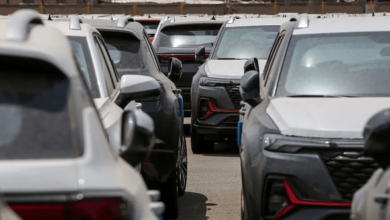 65995635 fac5 4cc0 a95f ae7b7ebfdc89