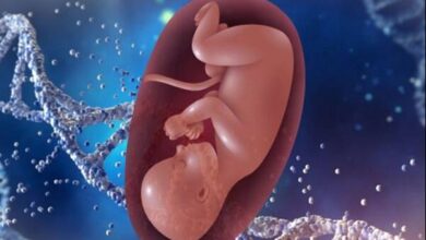 a8290da0 12e4 4e26 bb98 ffbc01129c1a