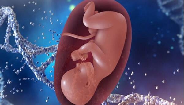 a8290da0 12e4 4e26 bb98 ffbc01129c1a