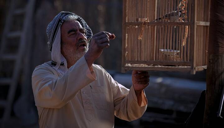 d7854fda 37df 47aa ada8 125ca49ca353