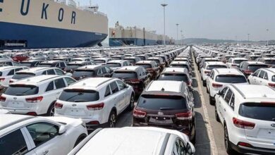 f9fe5bb3 5d3e 409a aa2a 664568839910