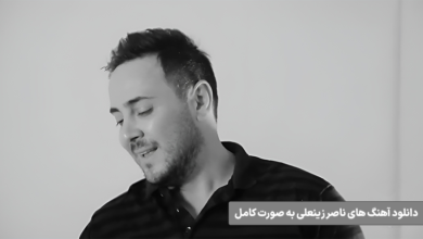 دانلود آهنگ های ناصر زینعلی به صورت کامل 1404