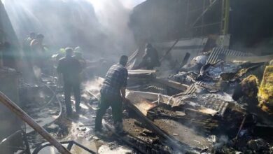 5317664 e1772048188719