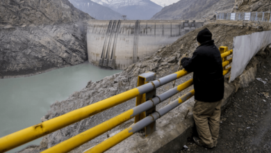 8e494929 8997 44d7 b721 0d6dd6568f78