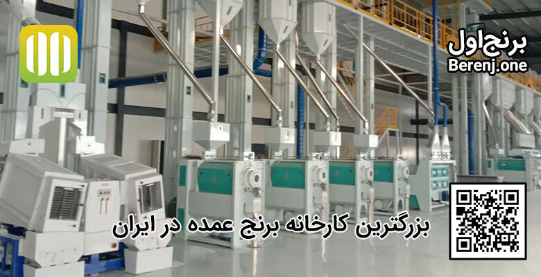 تأمین و فروش برنج عمده ایرانی در کارخانه «برنج اول»