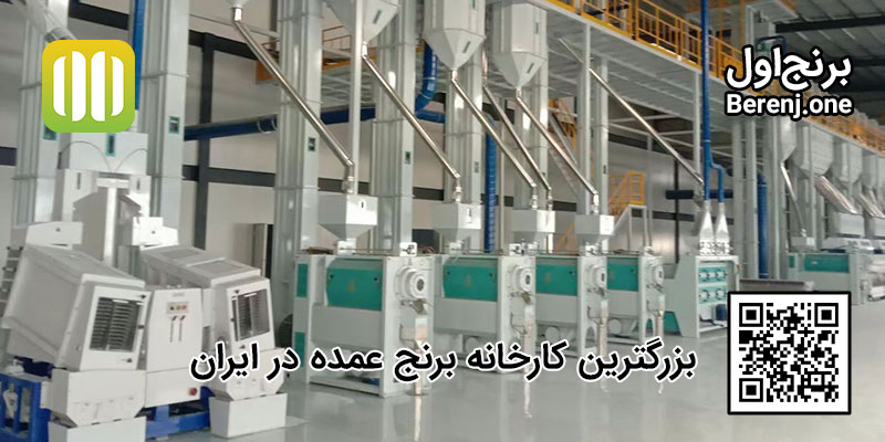 تأمین و فروش برنج عمده ایرانی در کارخانه «برنج اول»