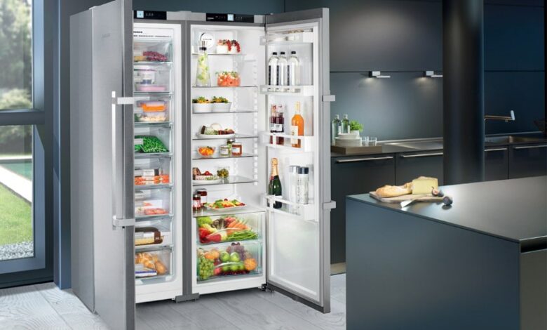 sidebyside fridge