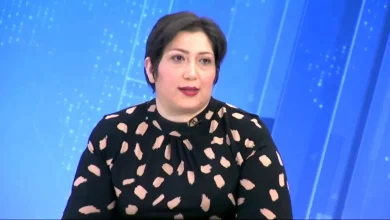 فیروزه جابانی