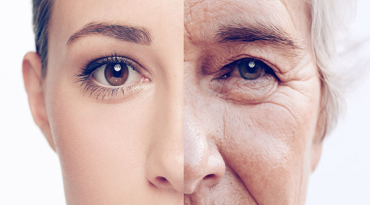 collagen