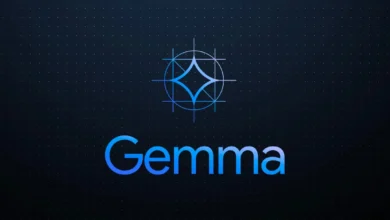google gemma ai model logo 65d607cfb5484d0cca6f5bf9