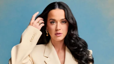 katy perry american idol