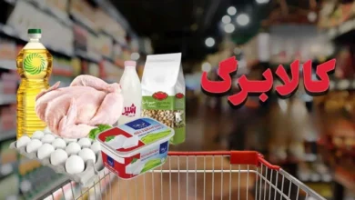 مرحلهششمکالابرگالکترونیکی