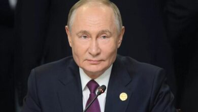 5339991
