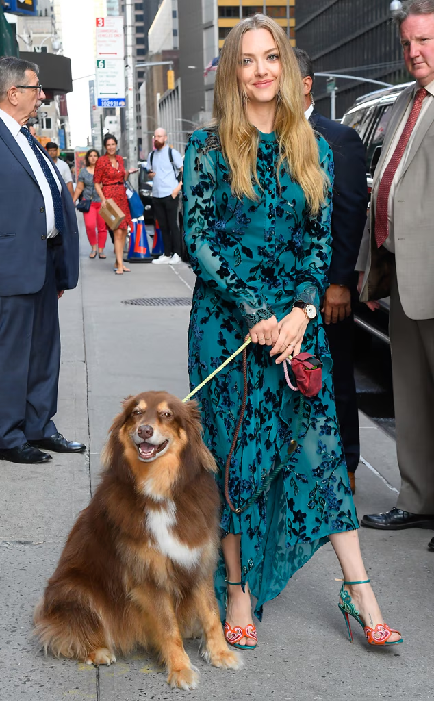 آماندا سیفرید (Amanda Seyfried) با انتشار چند عکس و پیامی احساسی، مرگ سگ محبوبش فن (Finn) را در ۱۶ سالگی اعلام کرد آماندا سیفرید (Amanda Seyfried) با انتشار چند عکس و پیامی احساسی، مرگ سگ محبوبش فن (Finn) را در ۱۶ سالگی اعلام کرد