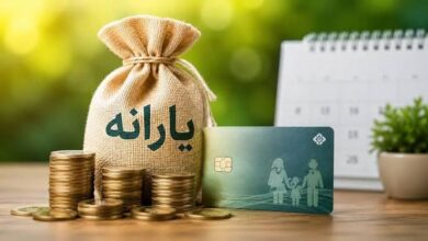 images 24