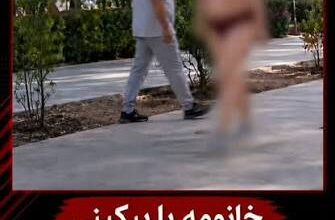 بیسسیب