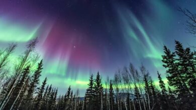 images 37
